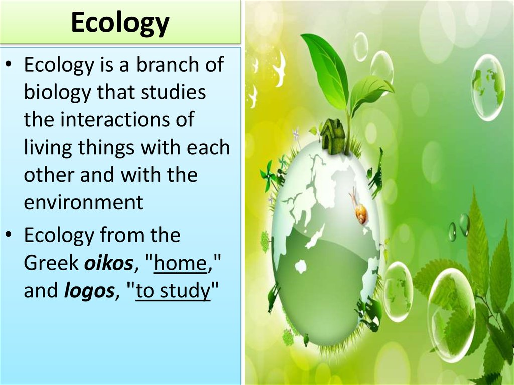 Ecology and Ecosystem Dynamics