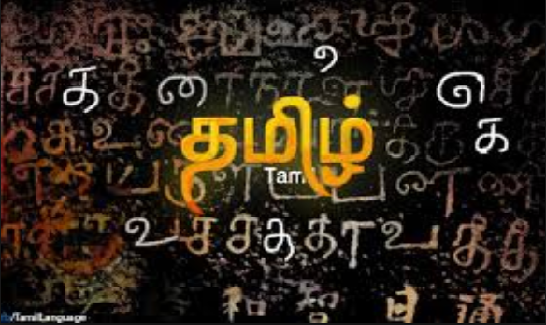 Tamil Language and Literature - An Introductory Course