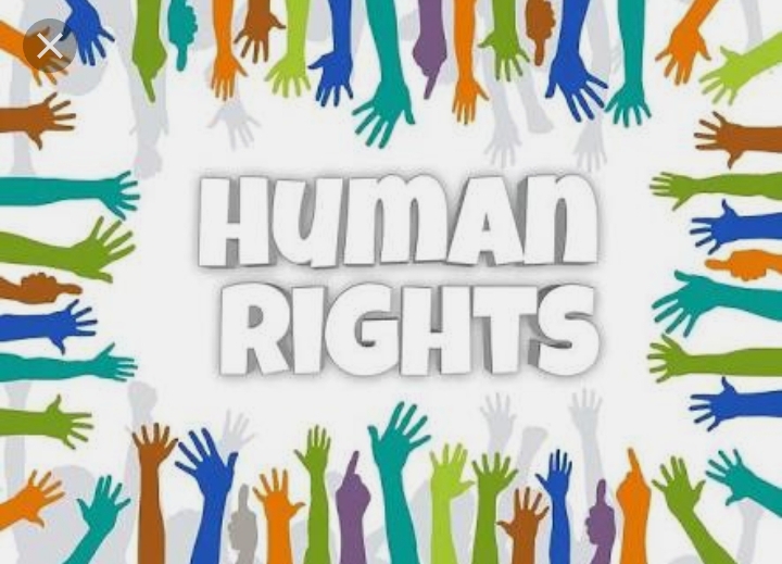 Certificate course on Human Rights 