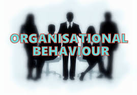 GBO –DSE-415 Organizational Behaviour