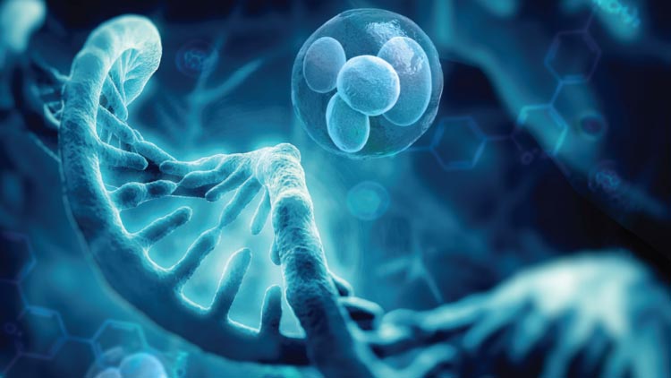 Regenerative Medicine and Biology