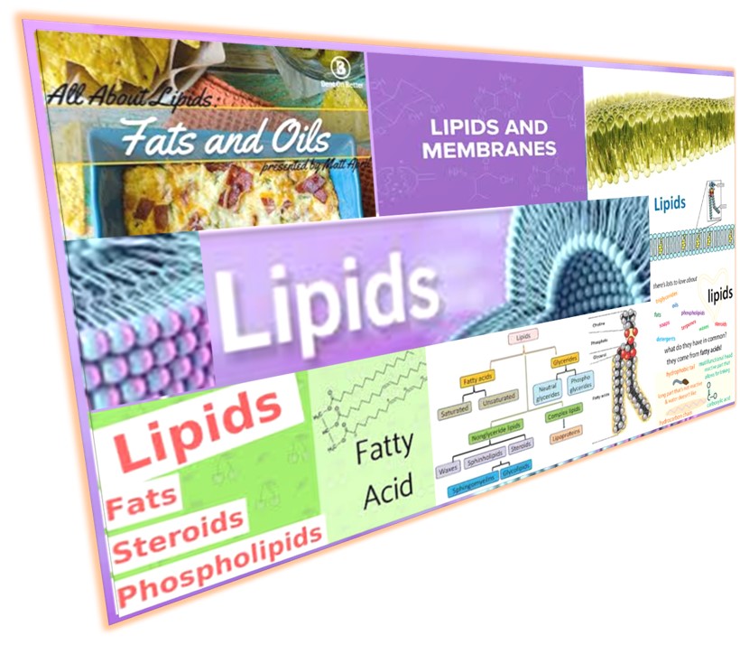 Biochemistry - lipids
