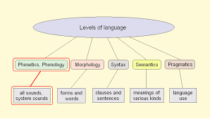 HIN-CC-514 STRUCTURE OF LINGUISTIC ANALYSIS IN HINDI LANGUAGE 