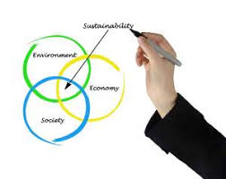 Environmental Economies and Policies